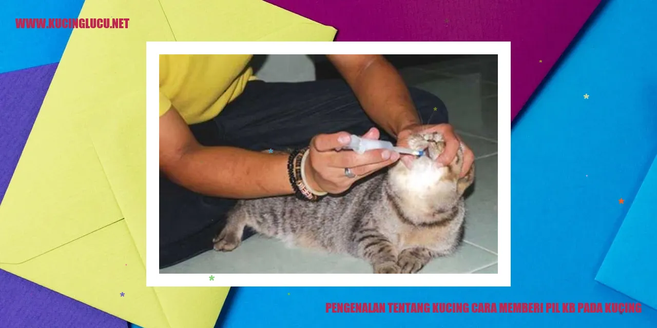 Gambar kucing