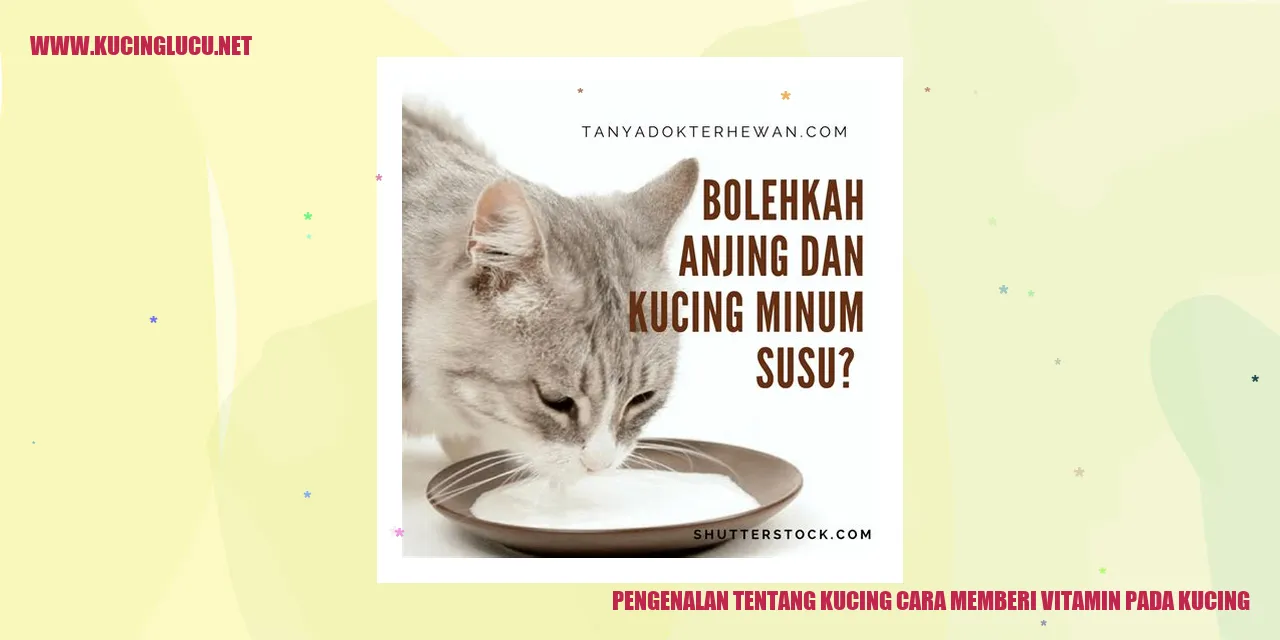 Gambar Kucing