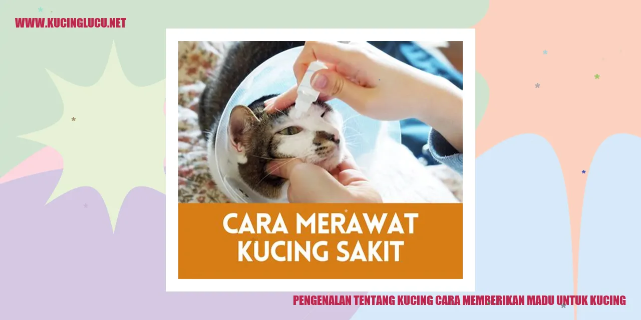 gambar kucing