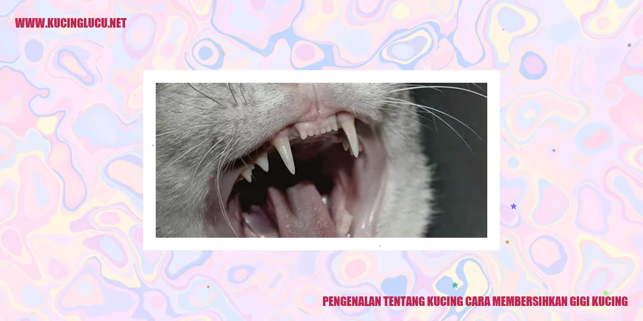 Gambar Kucing yang Lucu