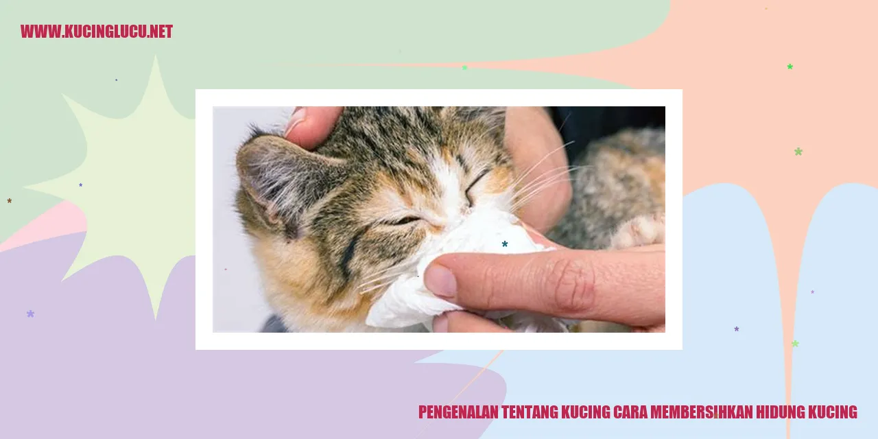 Kucing Mengendus