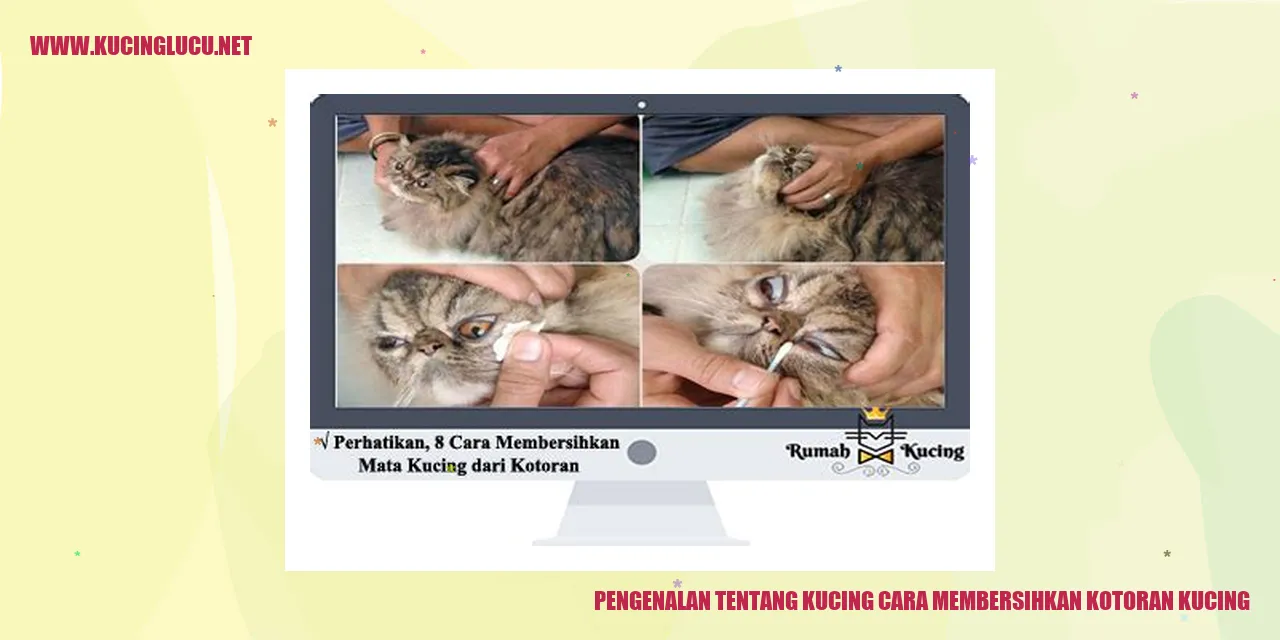 Gambar kucing menggunakan litter box