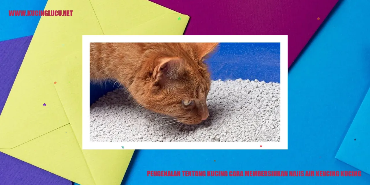 Ilustrasi kucing sedang tidur