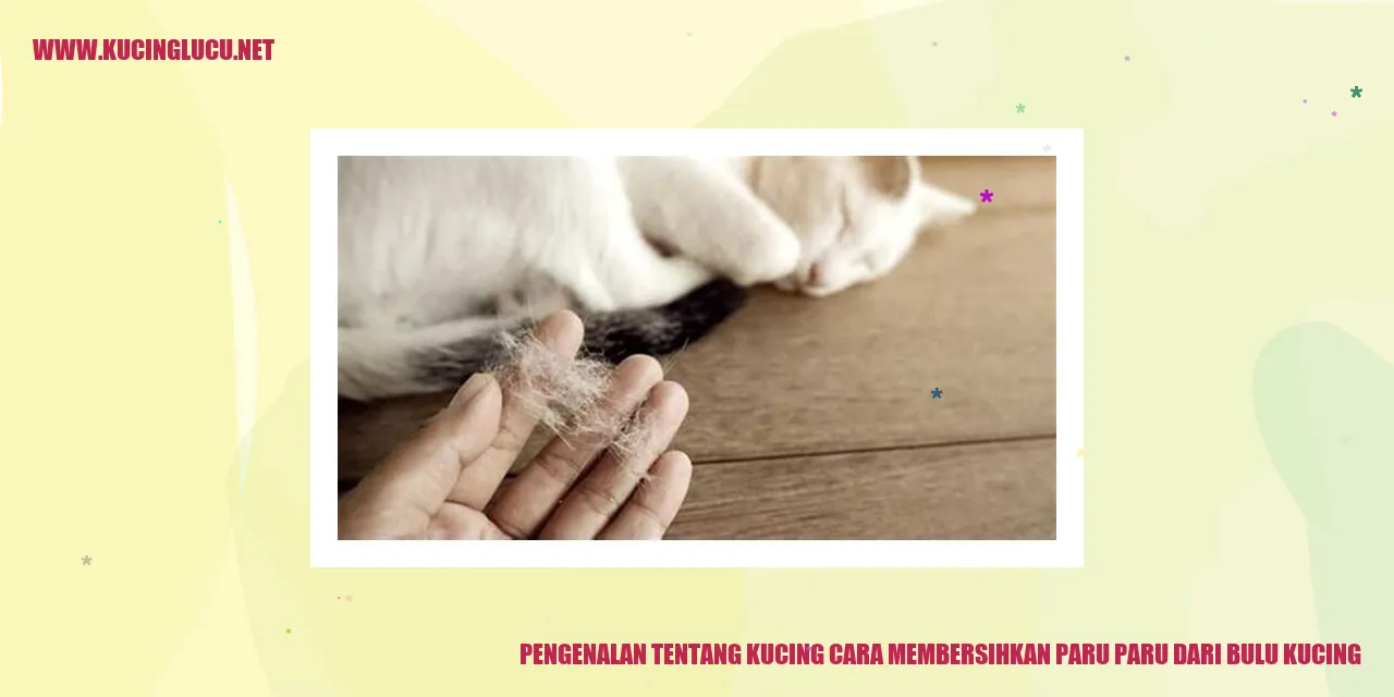 Gambar kucing sedang merawat dirinya