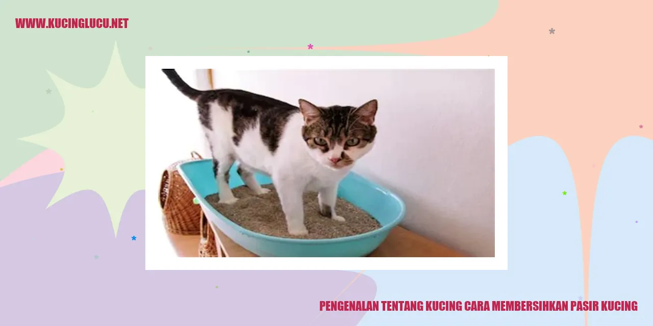 gambar kucing