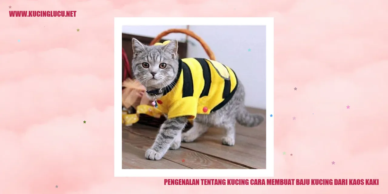 Gambar kucing dan kaos kaki