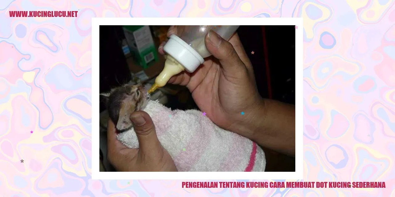Gambar Kucing Lucu
