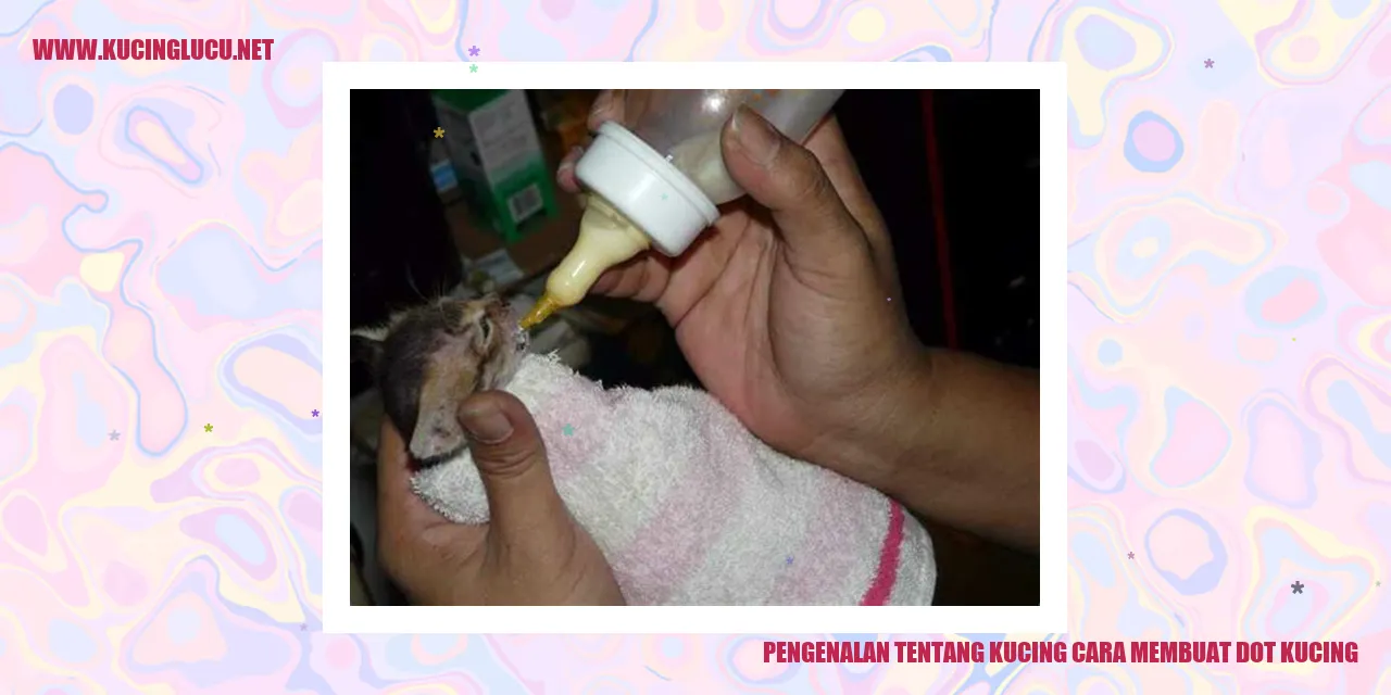 Ilustrasi Kucing