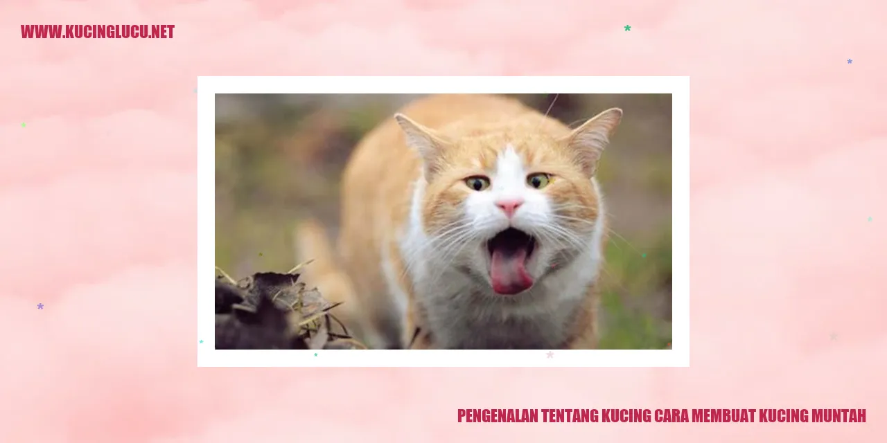 Gambar Kucing Lucu