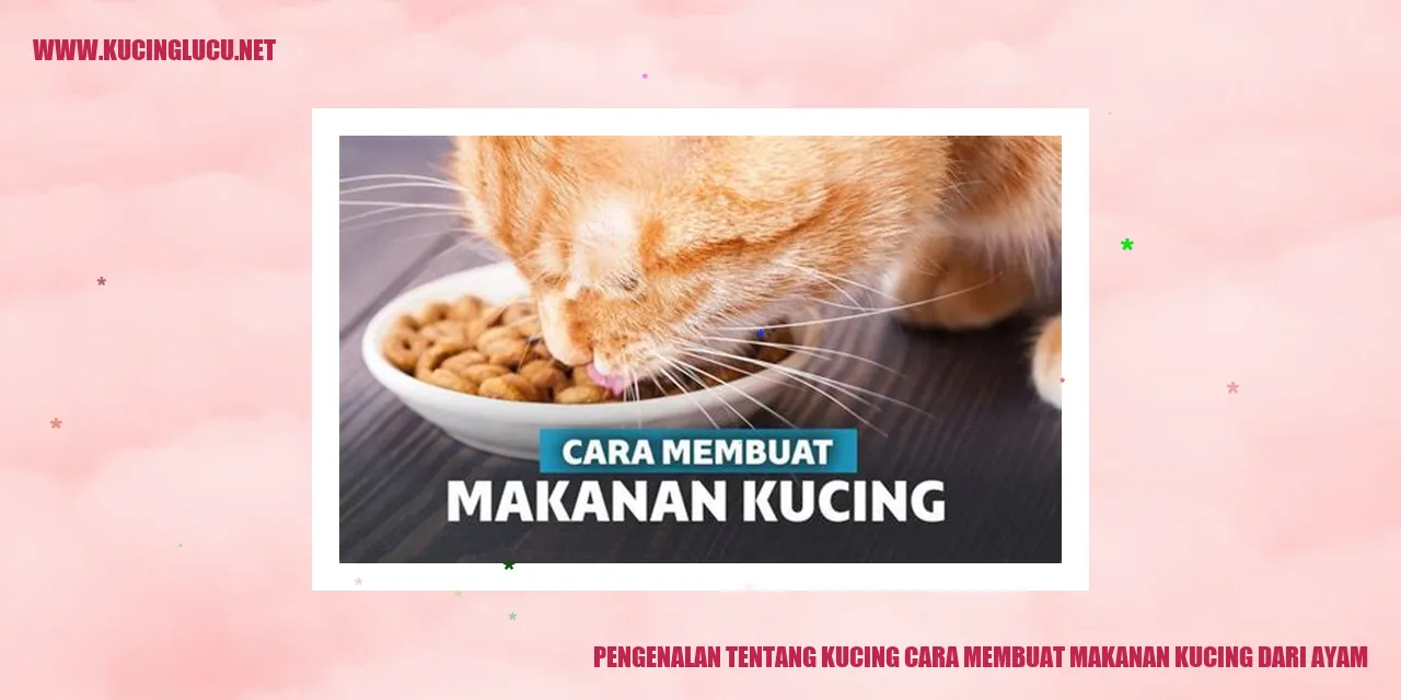 Gambar Kucing