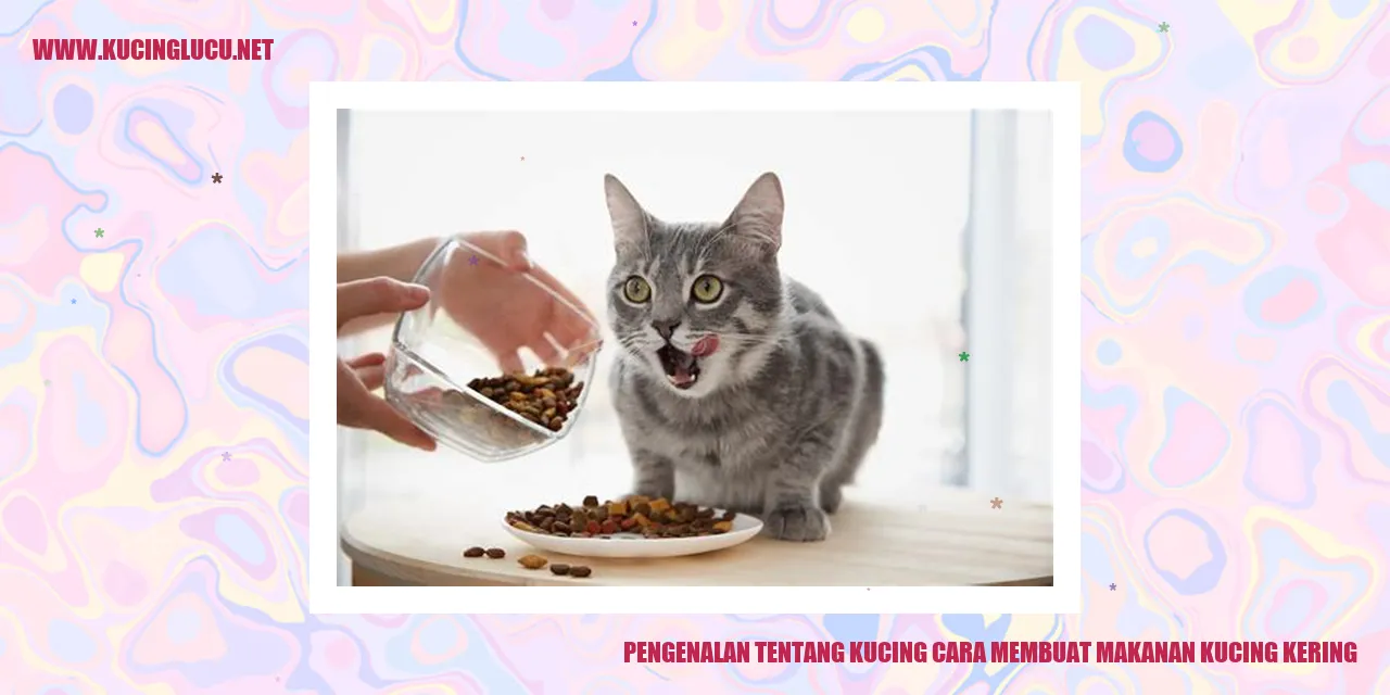 Kucing dan Makanan Kucing Kering