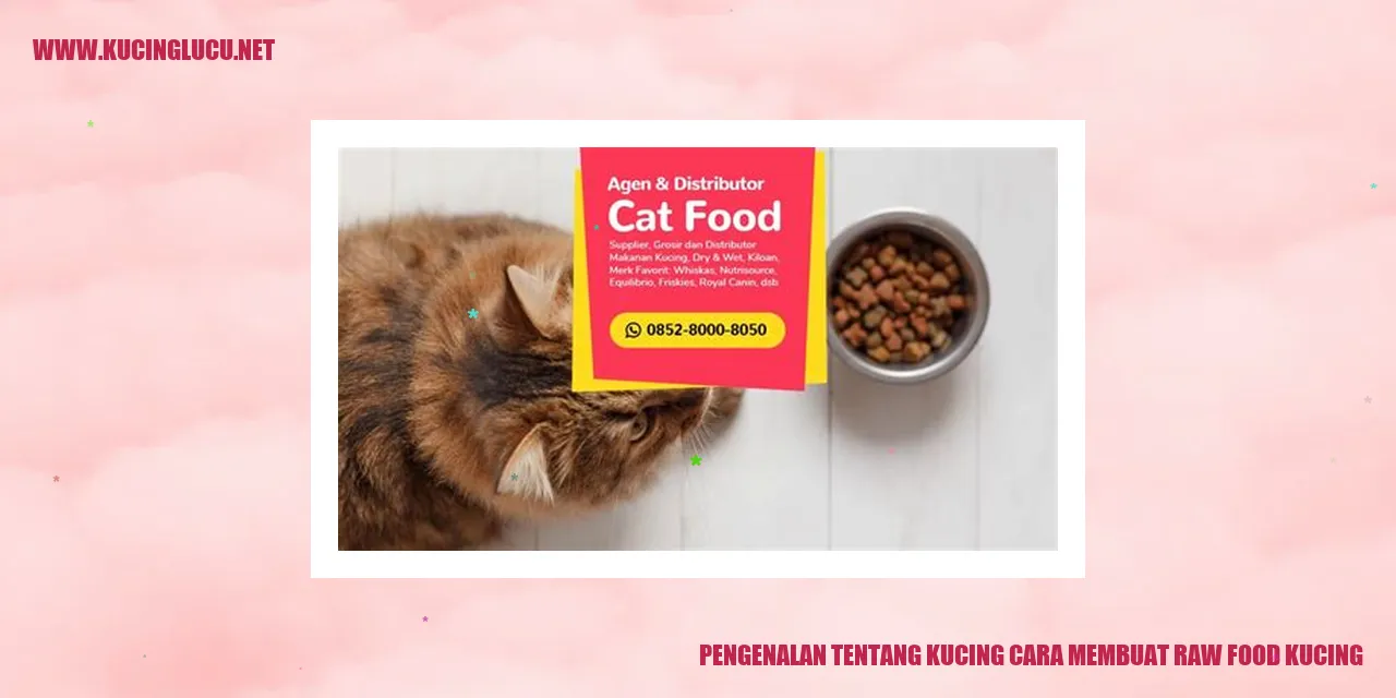 Gambar Kucing