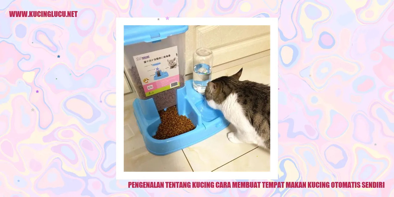 Gambar Kucing