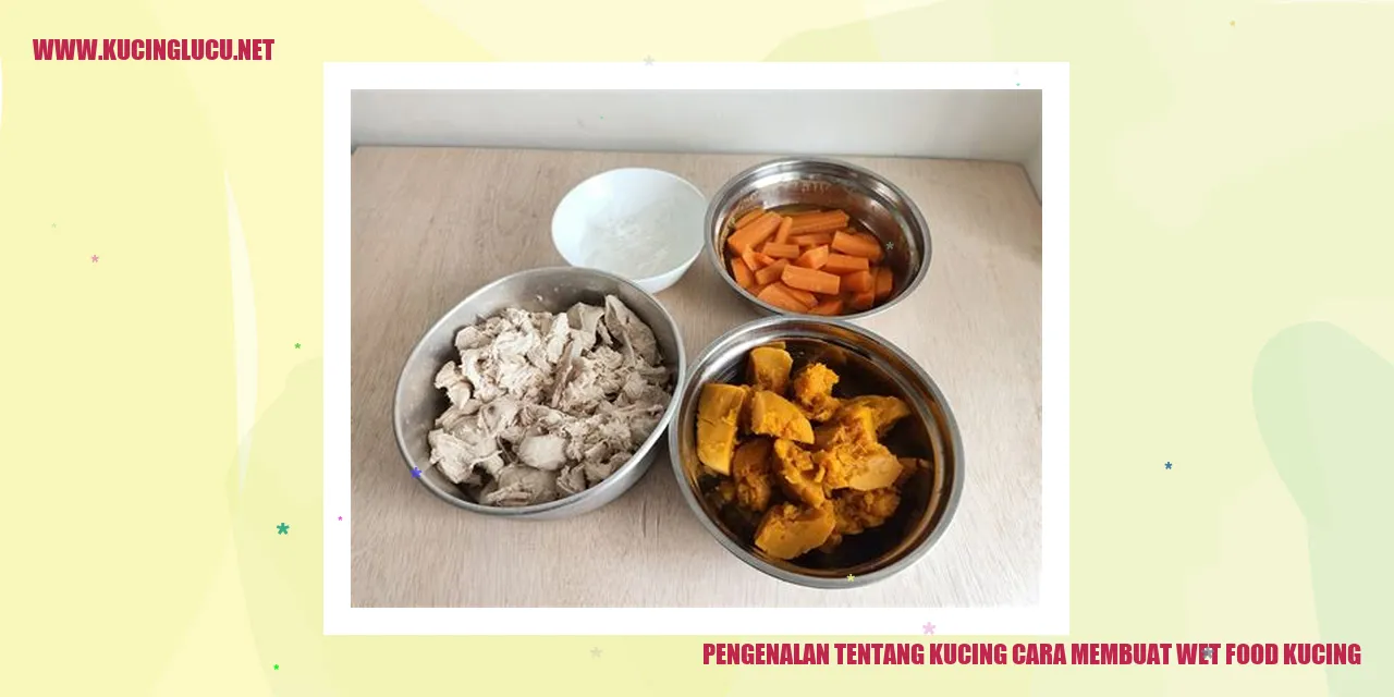 Gambar Kucing