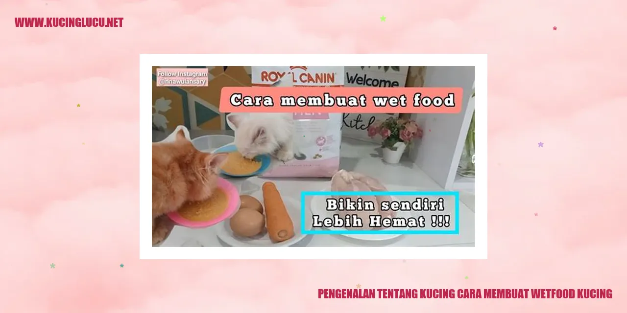 Gambar lucu kucing