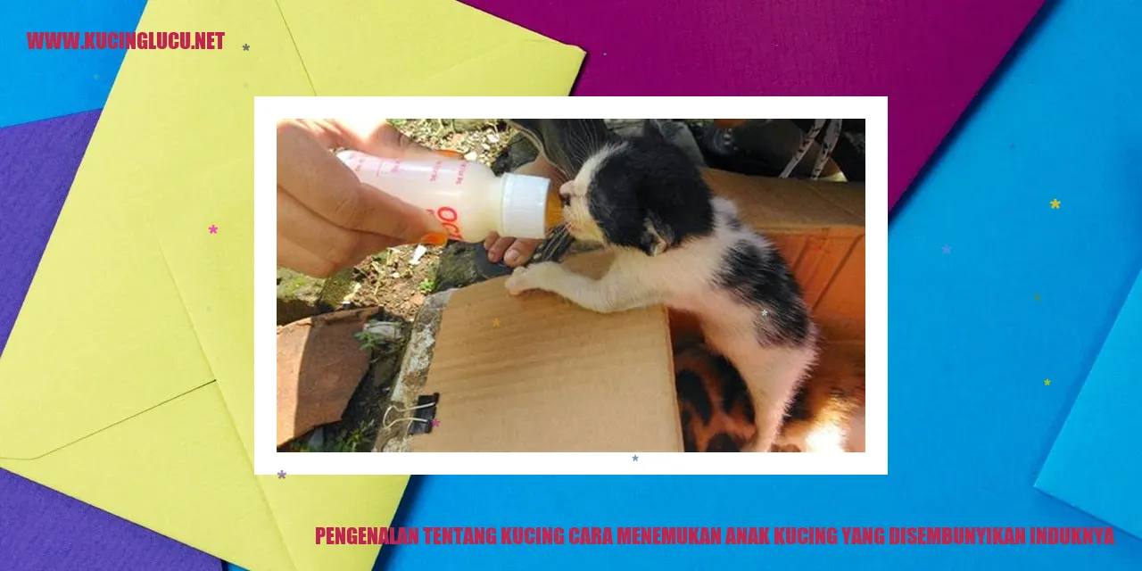 Gambar Kucing Induk dan Anaknya