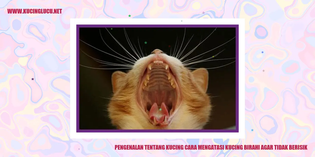Ilustrasi Kucing