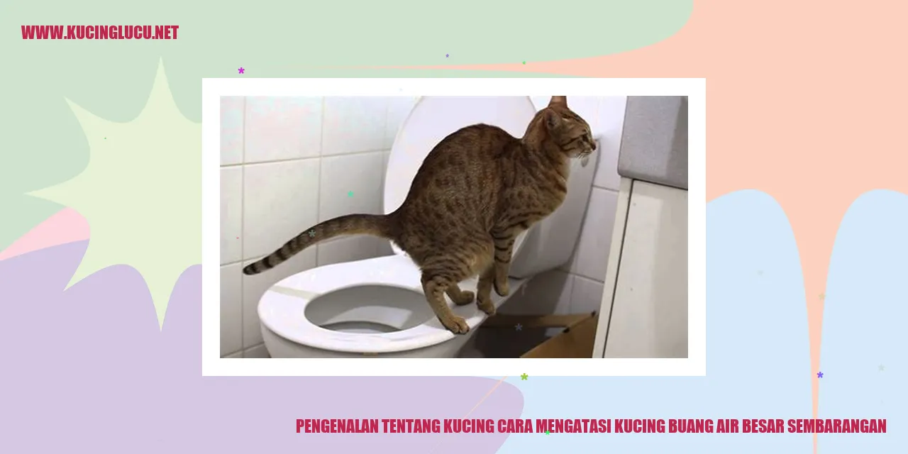 Gambar lucu kucing