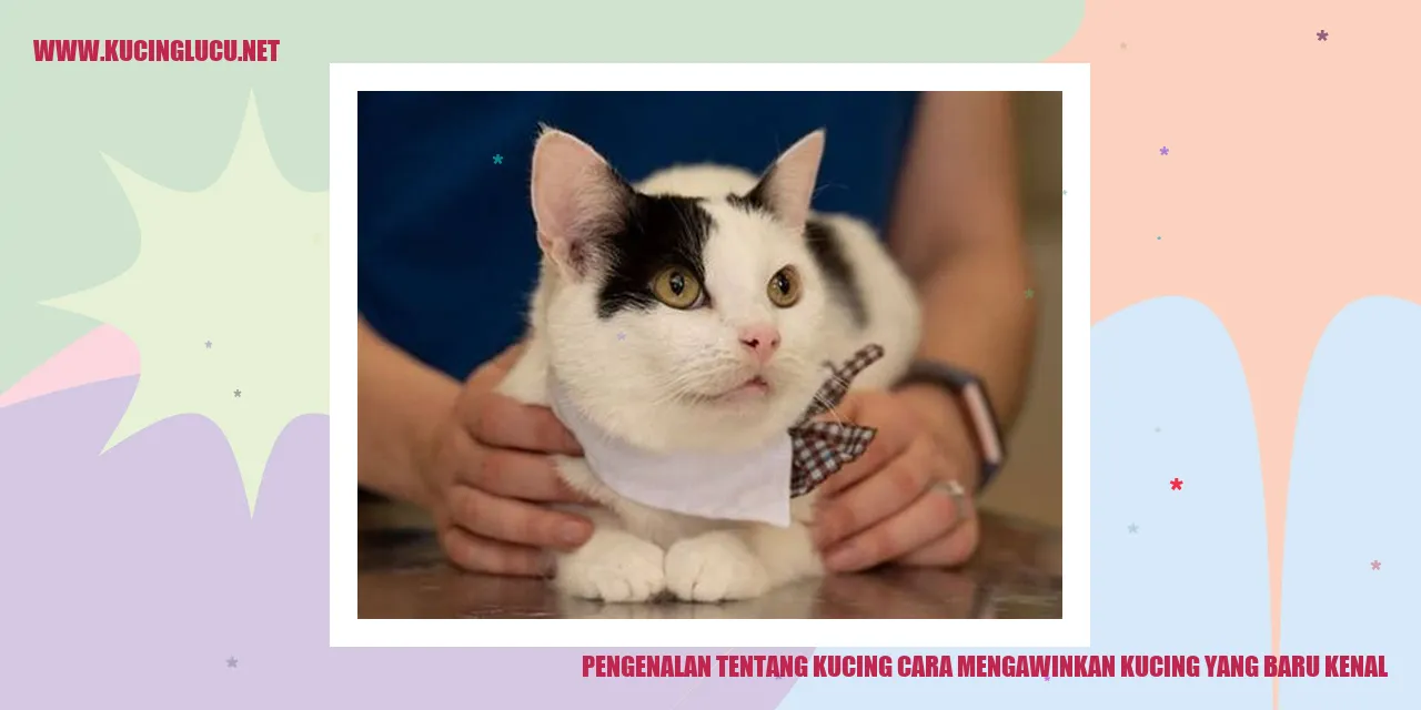 Kucing Mengawinkan