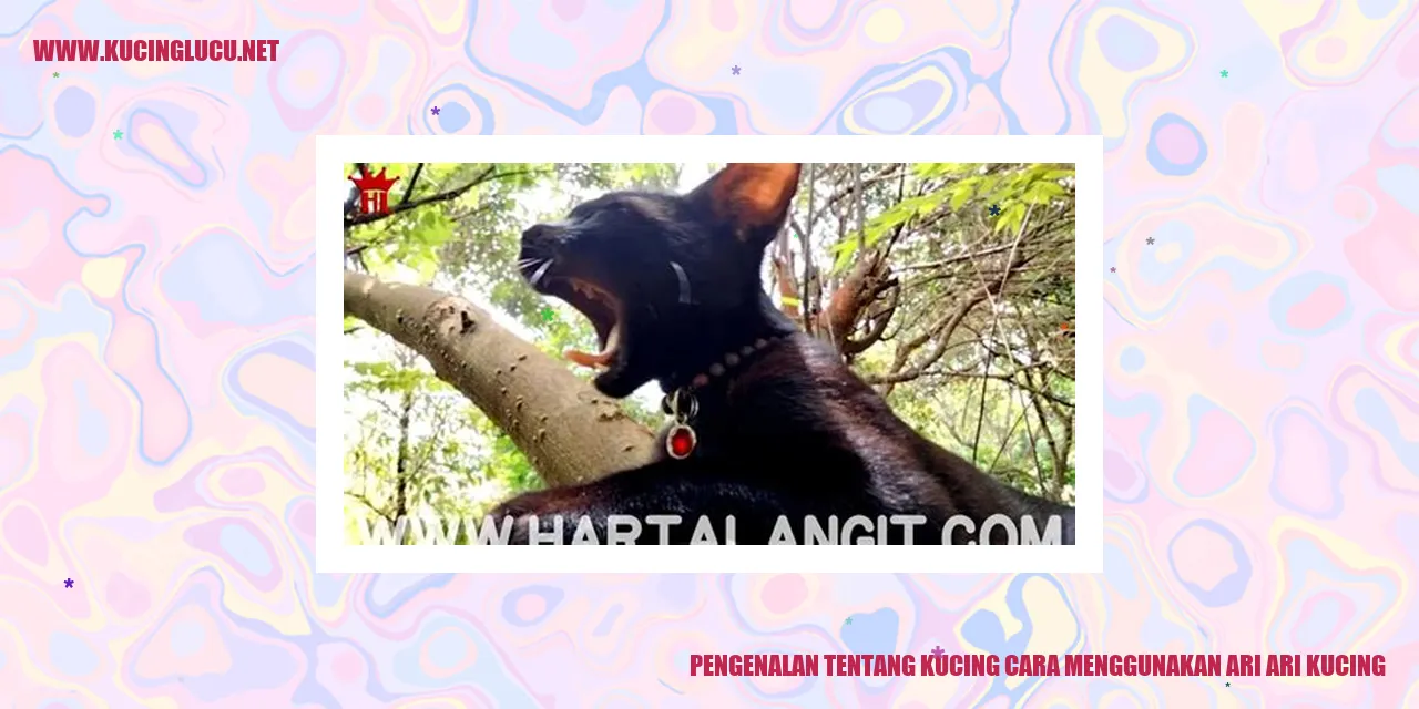 Gambar Kucing