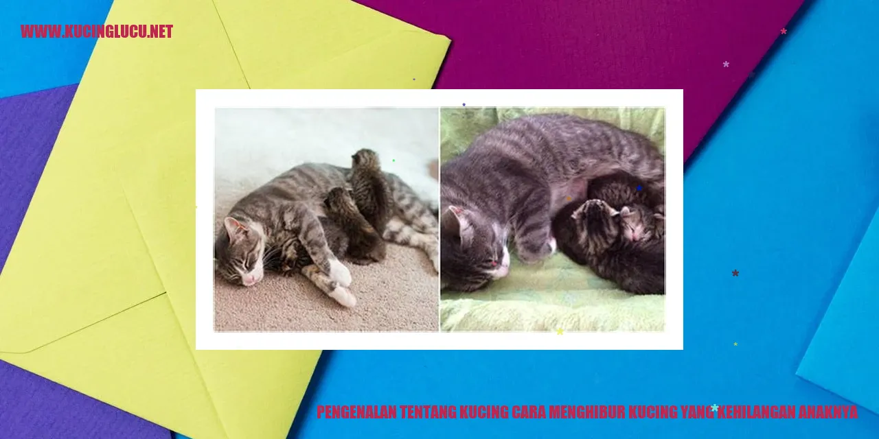 Gambar kucing sedih