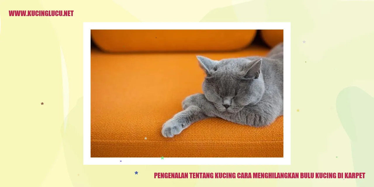 Gambar Kucing