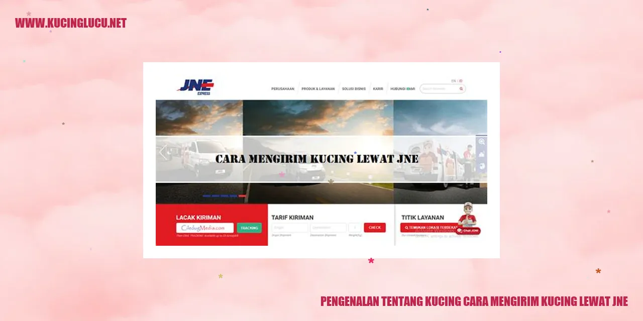 Pengenalan tentang Kucing cara mengirim kucing lewat JNE