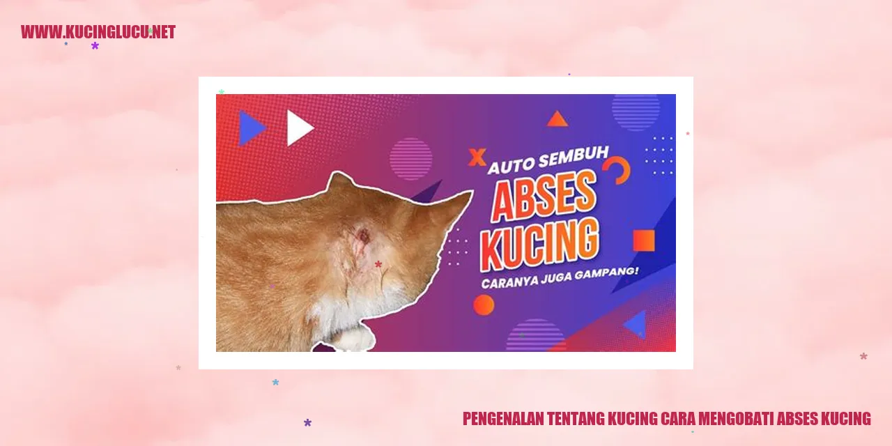 Ilustrasi Kucing