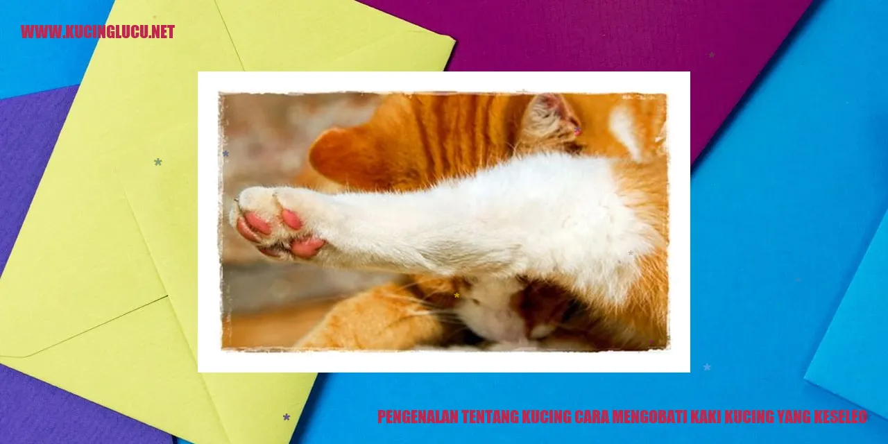 Gambar kucing menggemaskan