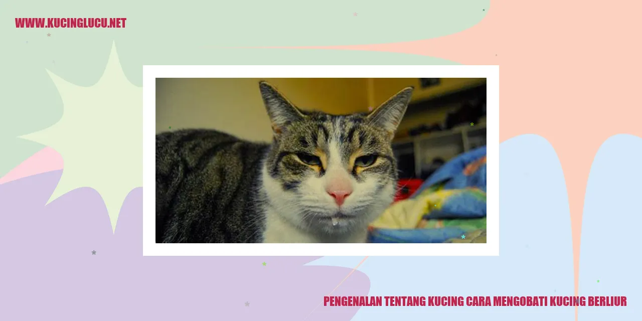 Gambar kucing