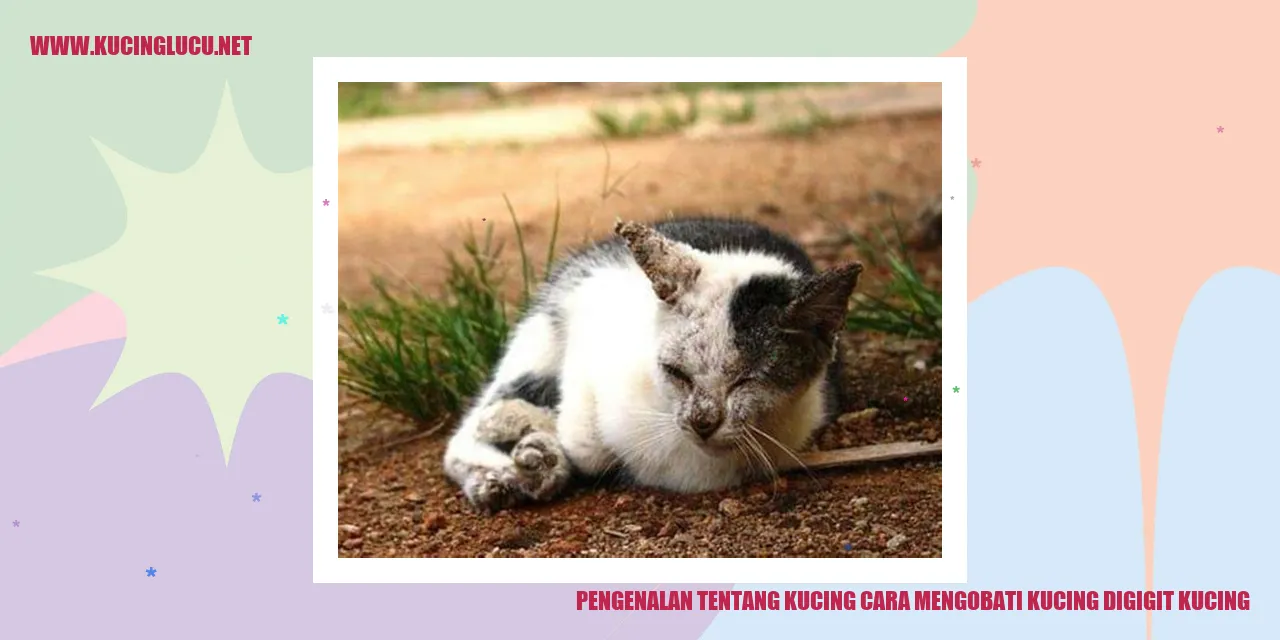 Pengenalan tentang Kucing