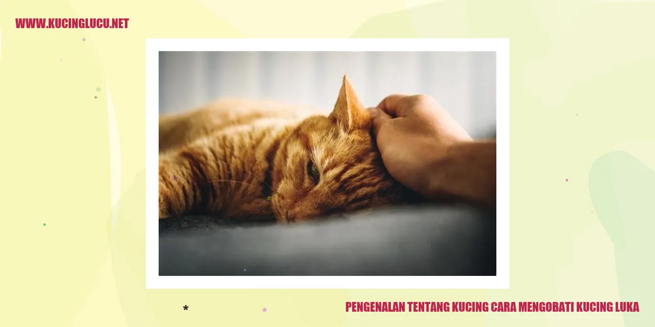 Kucing yang Menggemaskan