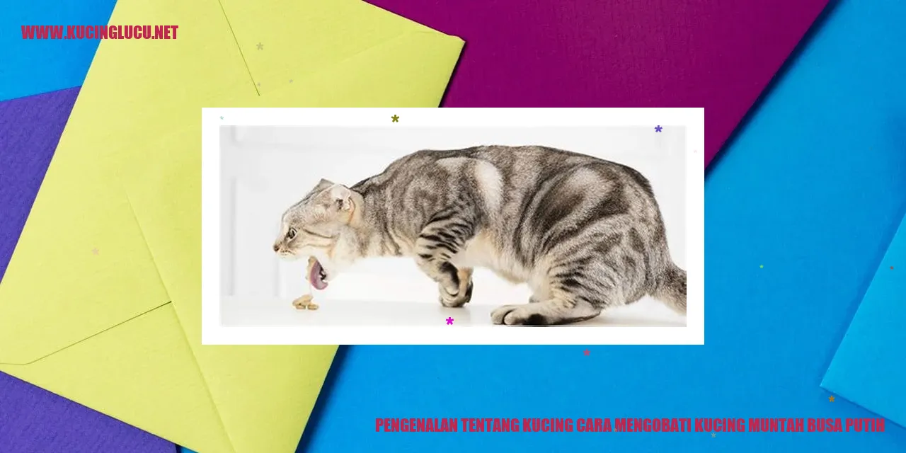 Gambar kucing yang lucu