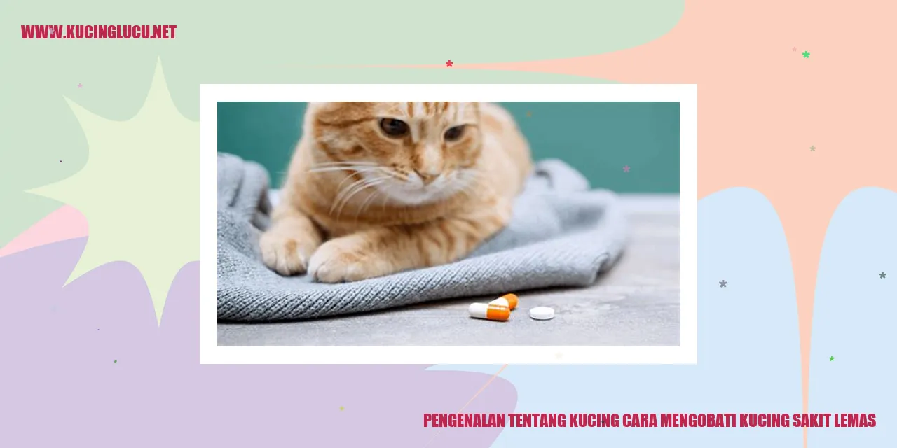 Gambar kucing sedang tidak berenergi