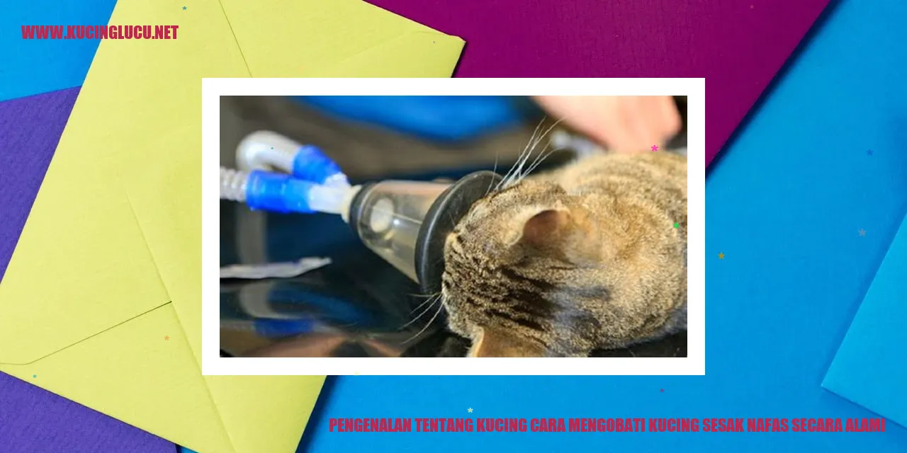 Gambar Kucing Sesak Napas