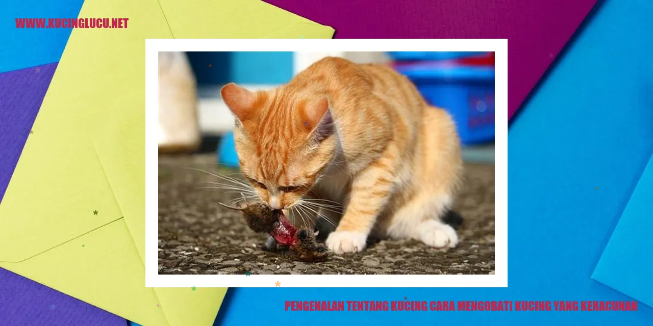 Gambar Kucing
