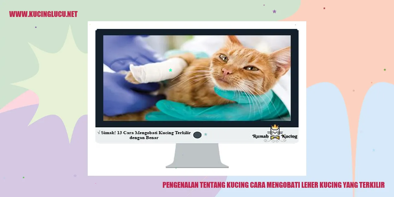 gambar kucing
