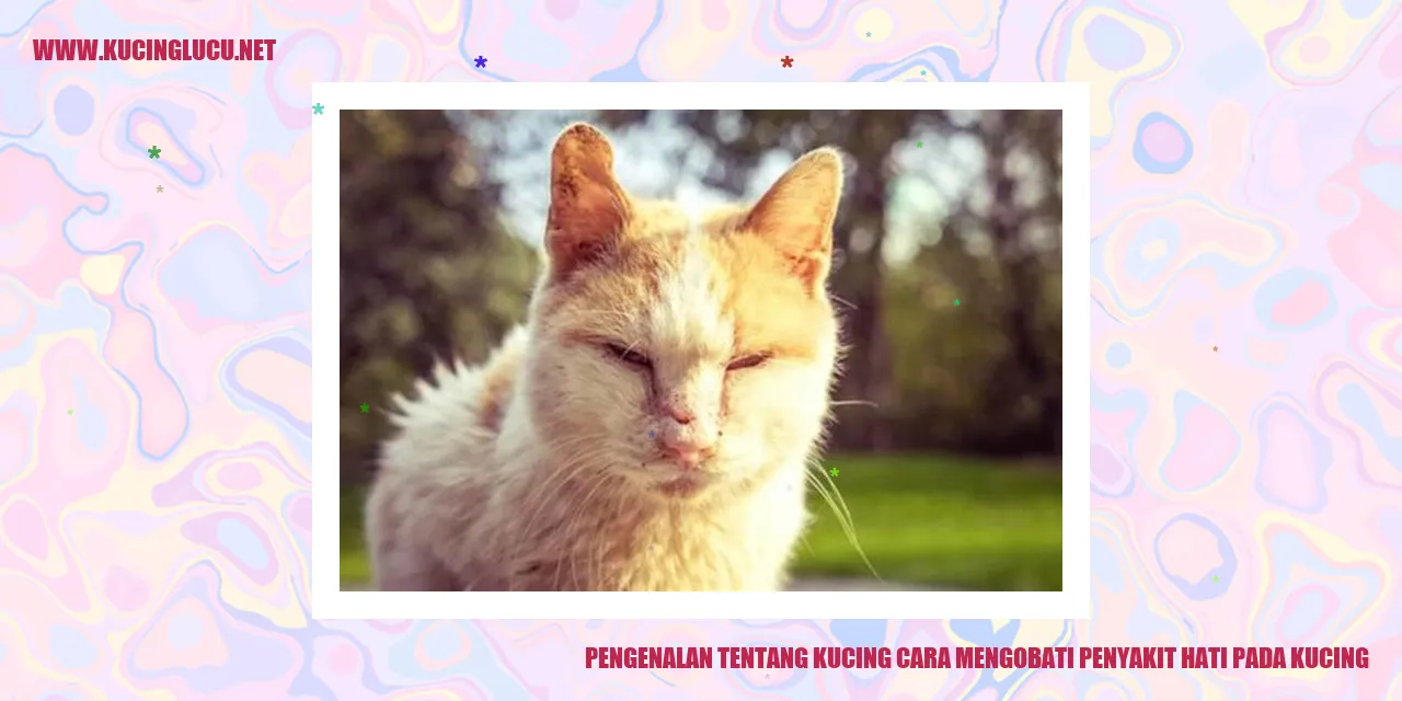 Pengenalan tentang Kucing cara mengobati penyakit hati pada kucing