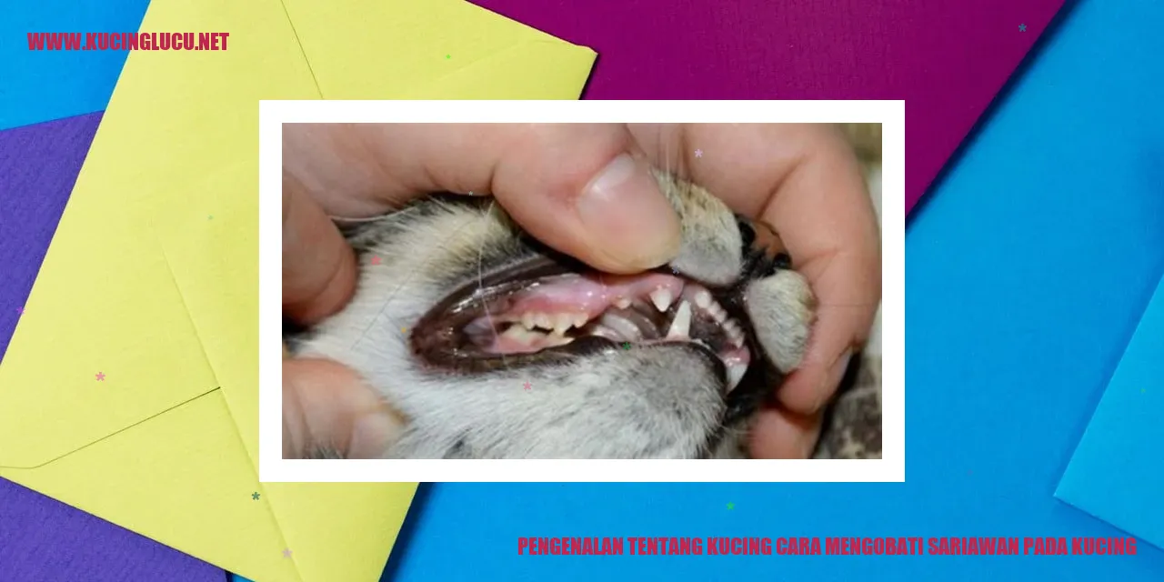 kucing mengalami sariawan