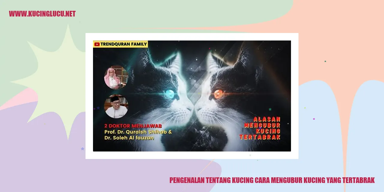 Gambar Kucing