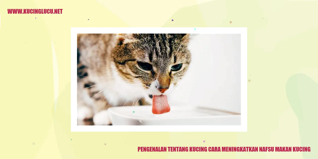 Gambar Kucing