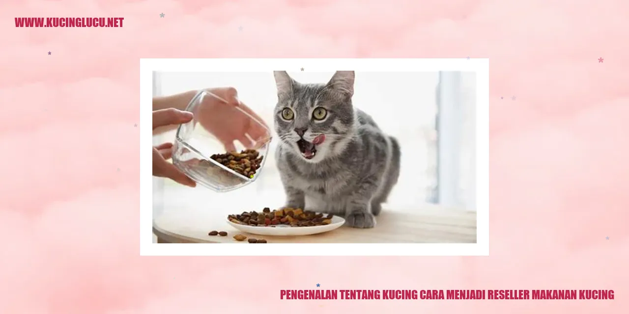 Gambar Kucing