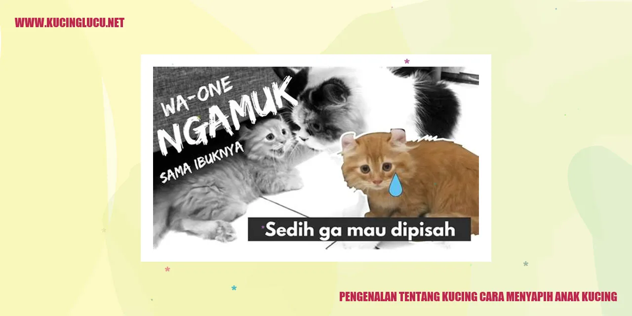 Gambar kucing dengan anaknya