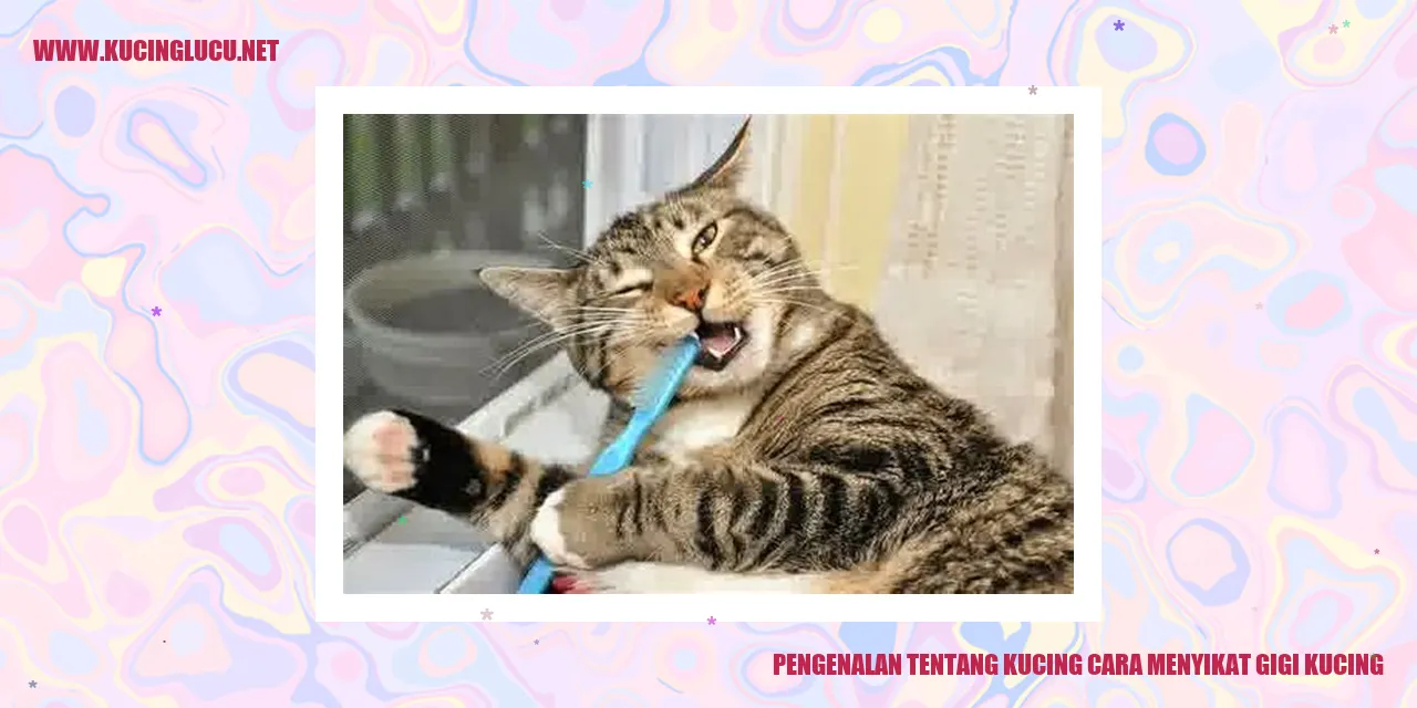 Gambar Kucing Lucu