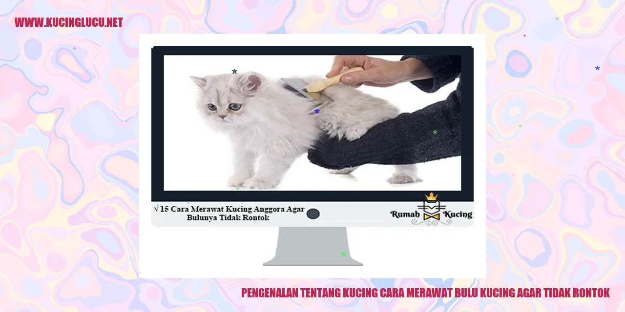 Kucing dengan bulu yang sehat
