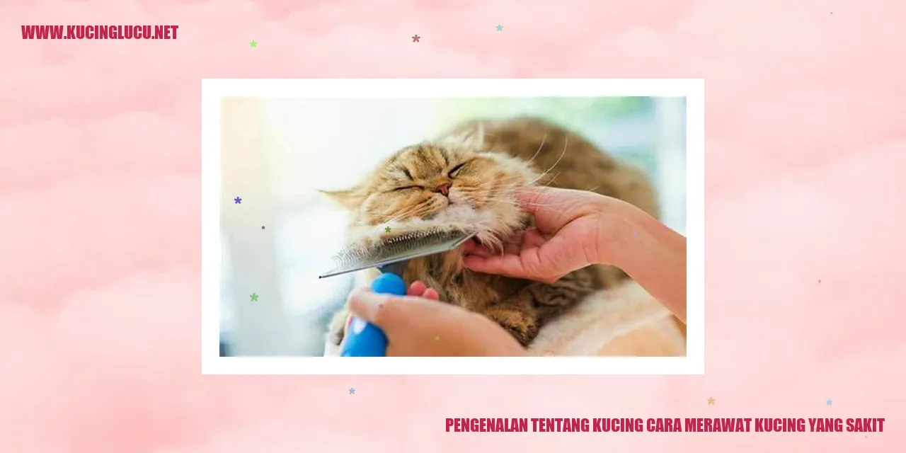 Gambar Menggemaskan Kucing
