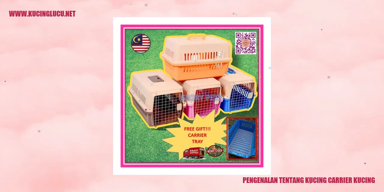 Kucing carrier