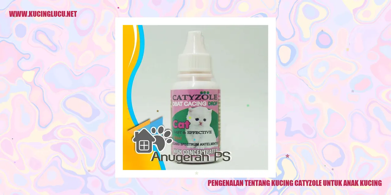 Gambar Kucing Catyzole