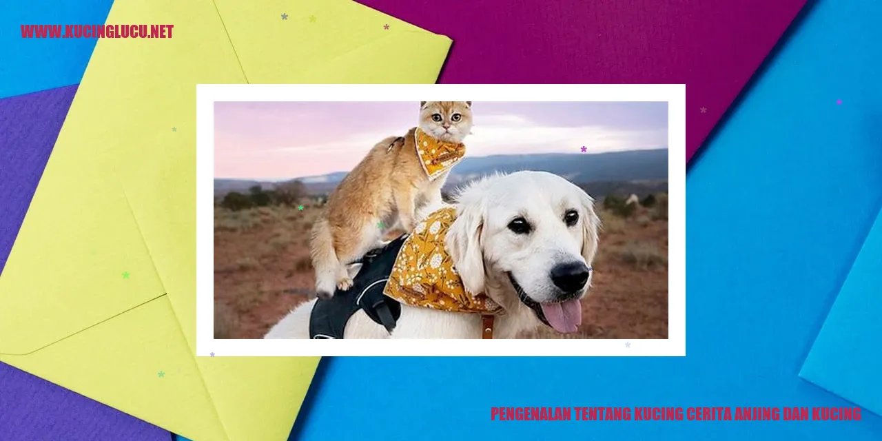 Kucing dan Anjing