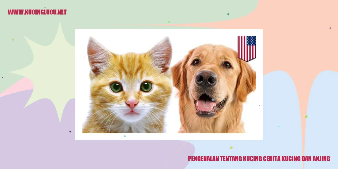 Gambar Kucing dan Anjing